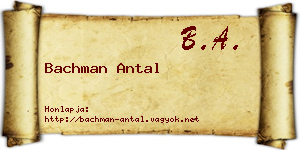 Bachman Antal névjegykártya