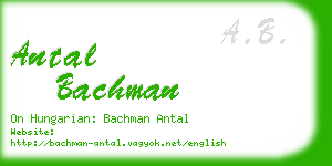 antal bachman business card